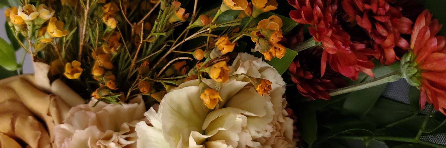 ZjanPhilippe's profile banner image