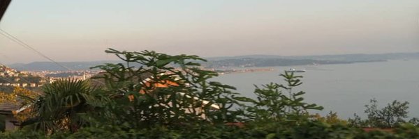 EmmaMorgante Profile Banner