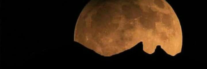 jamf9810's profile banner image