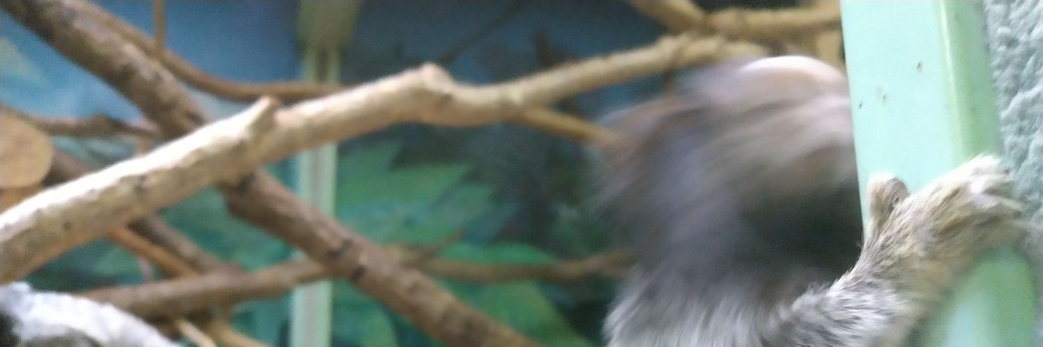 marginata0302's profile banner image