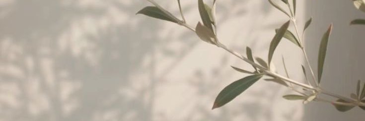 p_GrPii's profile banner image