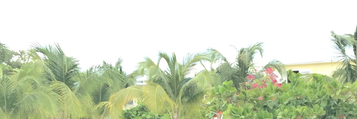 hellantwrk's profile banner image