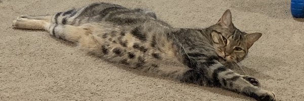 CSWhiteMD Profile Banner