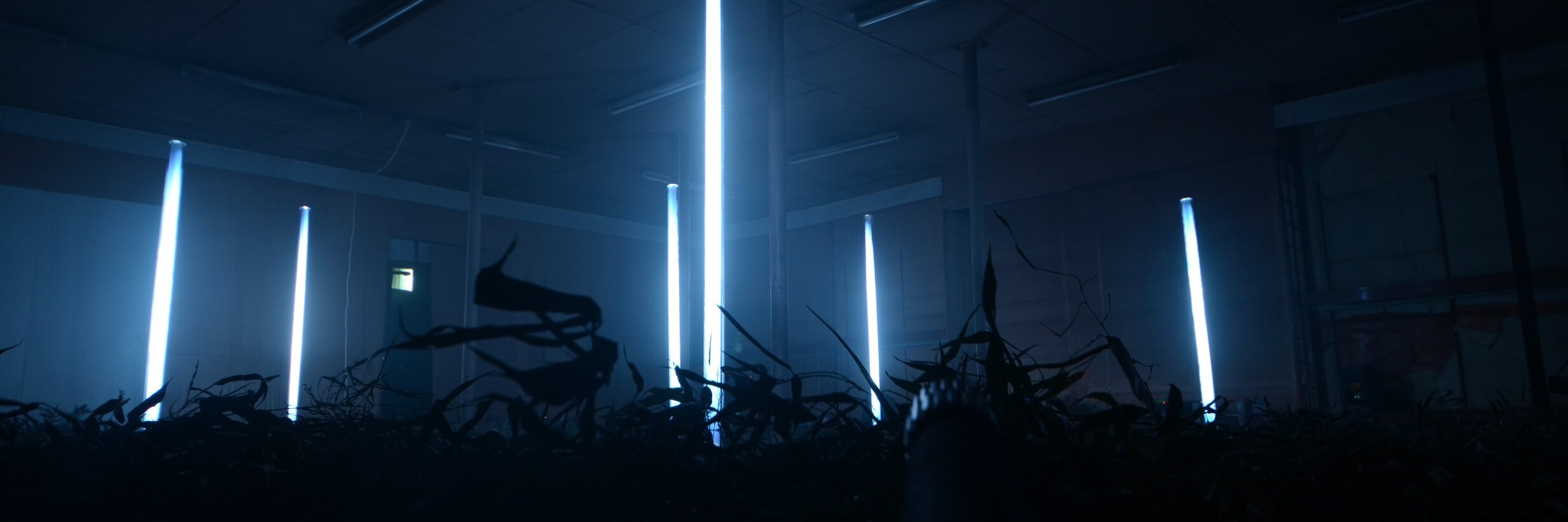 Hideaki Takahashi banner