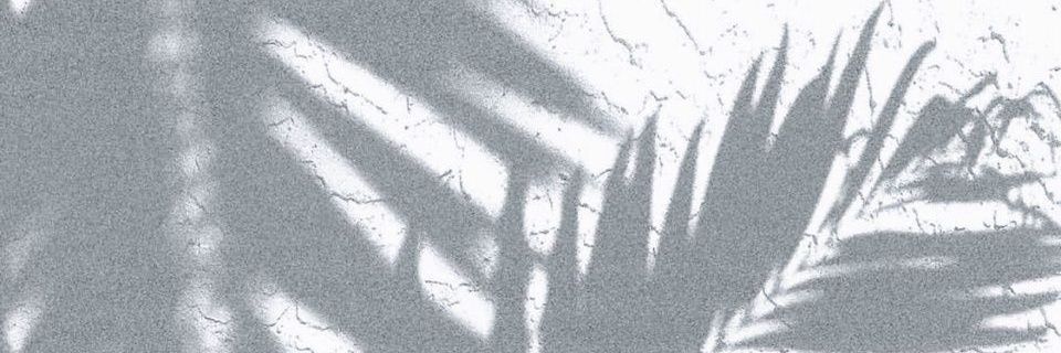 tia banner