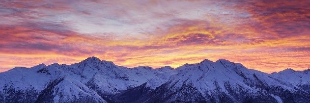 Janet Sheriff banner