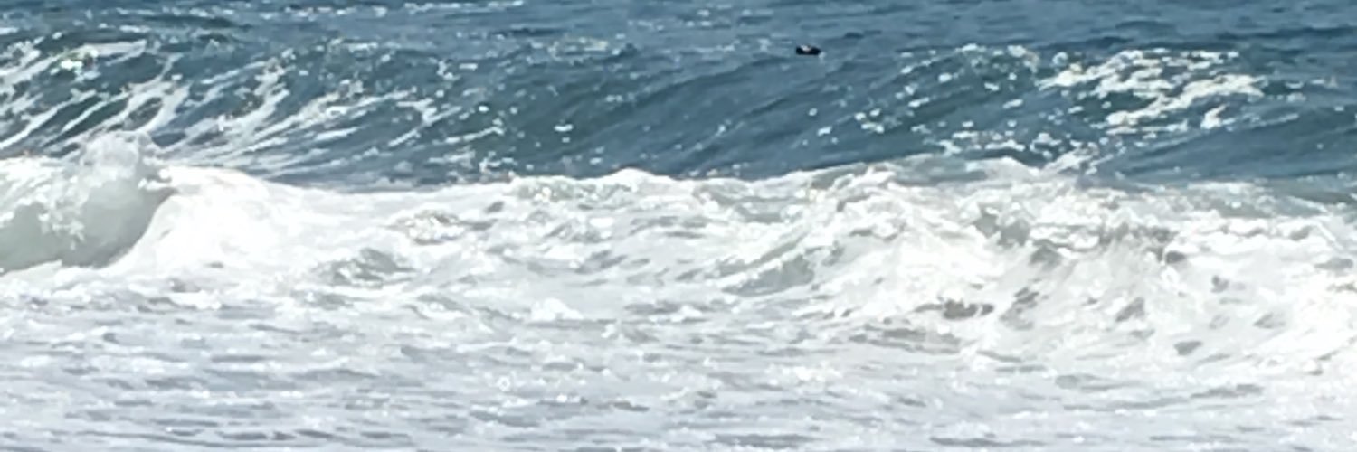 pdperezz's profile banner image
