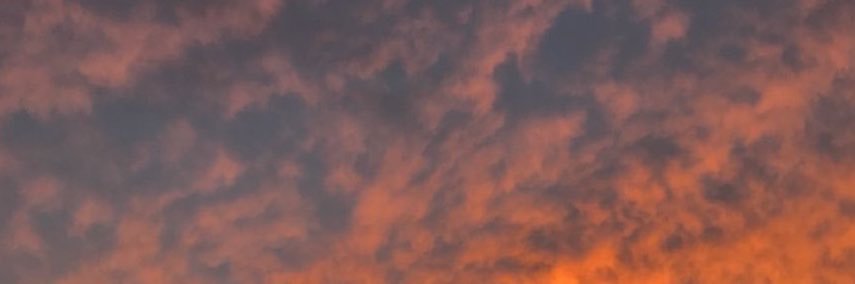 CaroNarvaezP's profile banner image