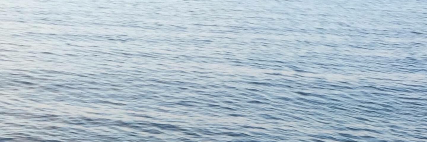 _eLEEvated's profile banner image