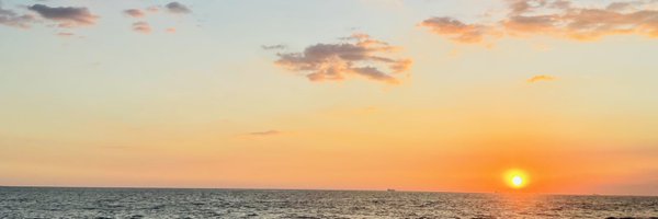 ktthy29 Profile Banner