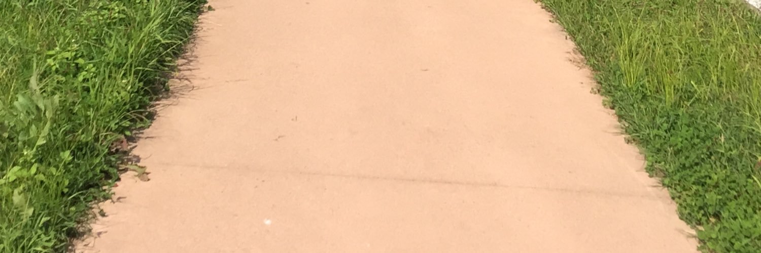 ollegilman's profile banner image