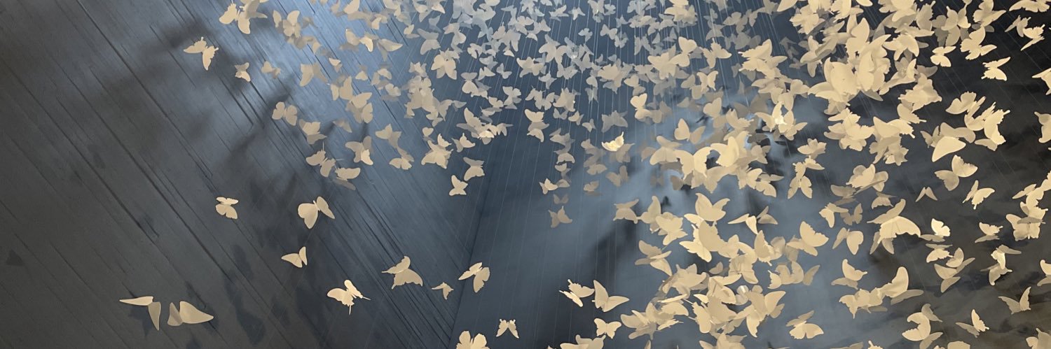 edithmgdo's profile banner image