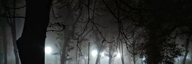 lena ❦ banner