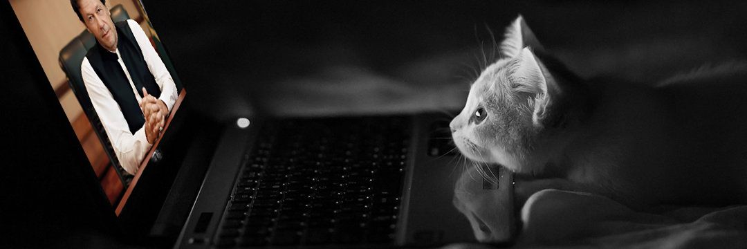 AbdullahQTweets's profile banner image