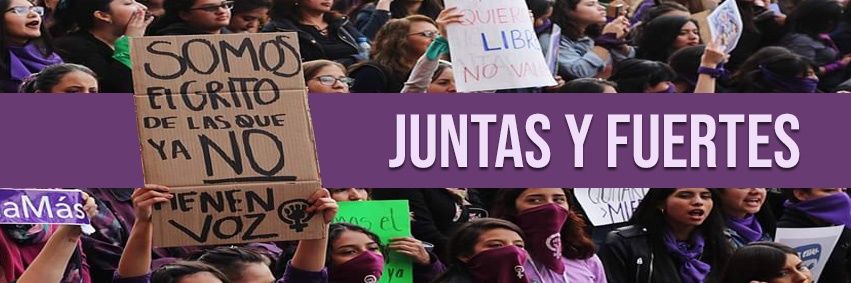 Frente Feminista de Saltillo banner