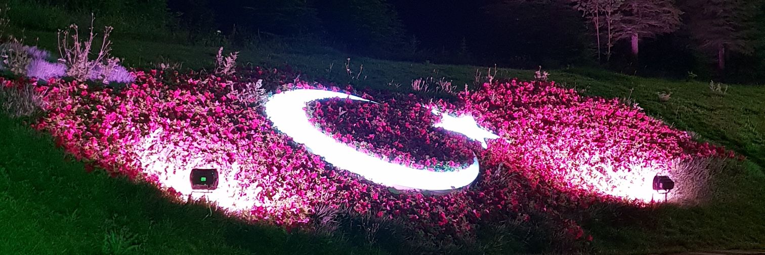 Adem CANKARA ⛔🧭 banner