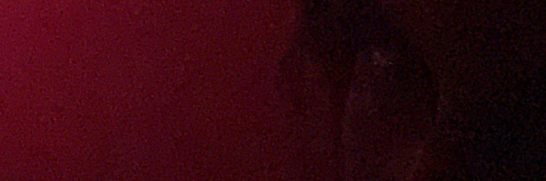 untilibleedoutw's profile banner image