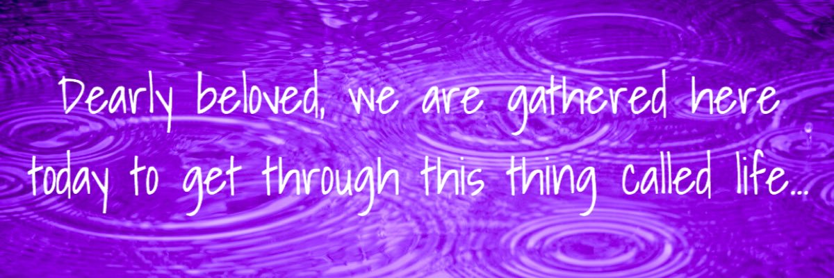Shannon LeDoux banner