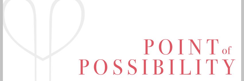 Point of Possibility banner