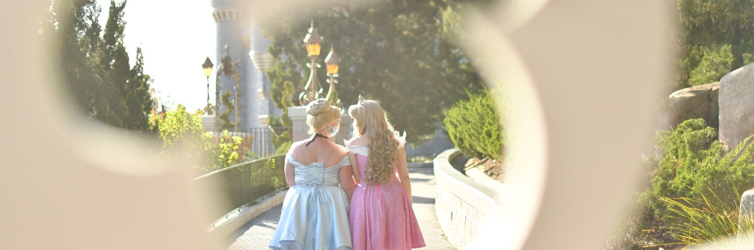 wicked bitch of the weast banner