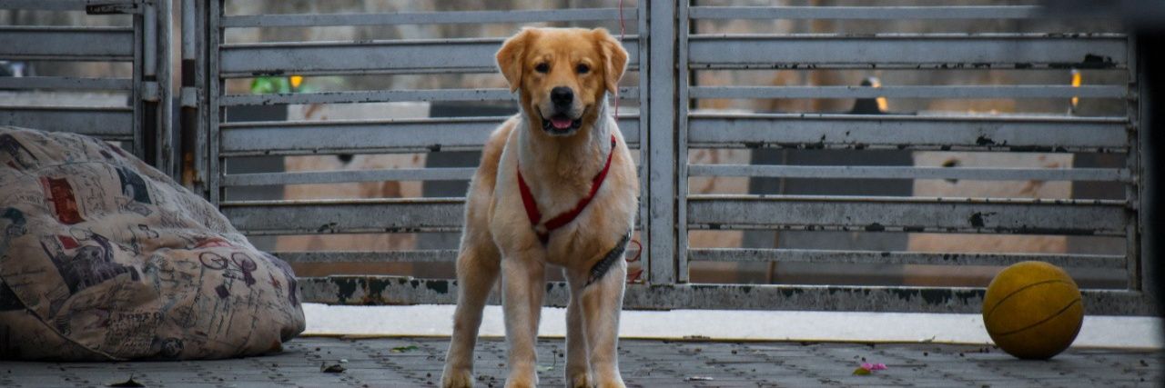 Akshay Singhal banner