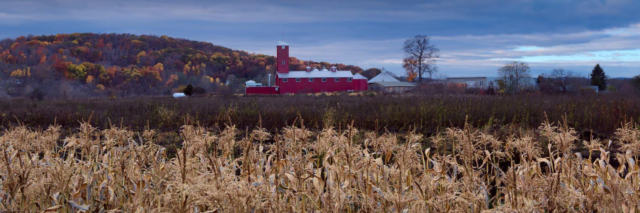 BDDistillery's profile banner image