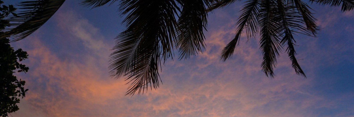 jrcodispoti's profile banner image
