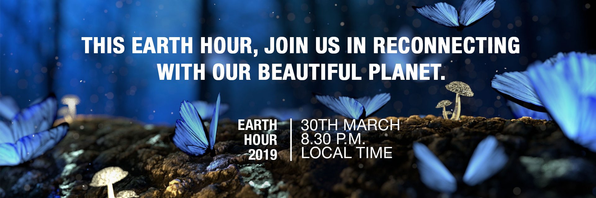 Earth Hour Brunei banner
