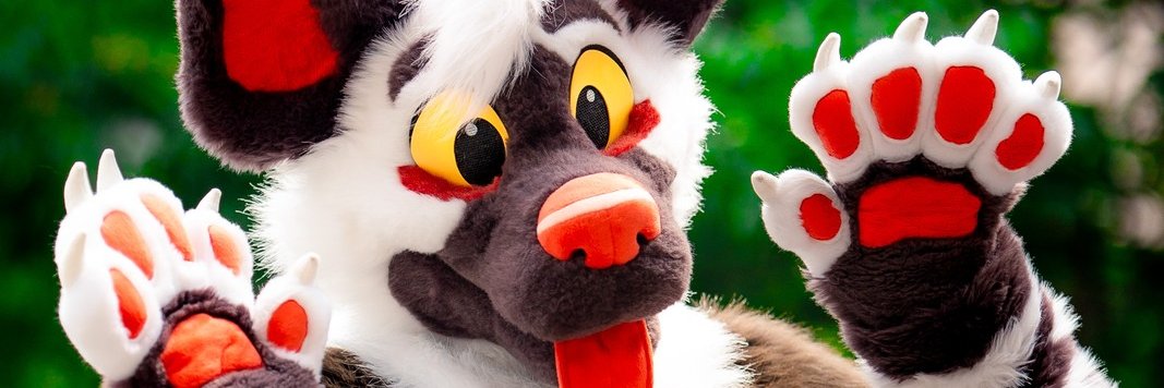Dork's banner