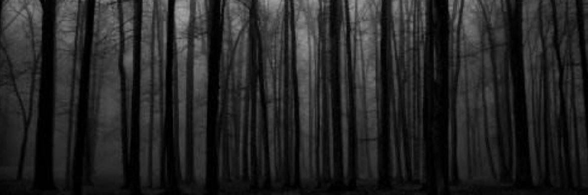 Matthew_XJ's profile banner image