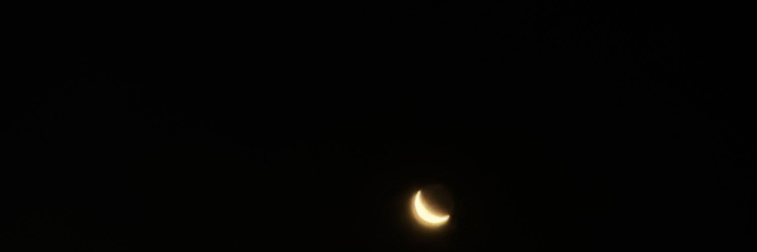 mrmzttli's profile banner image