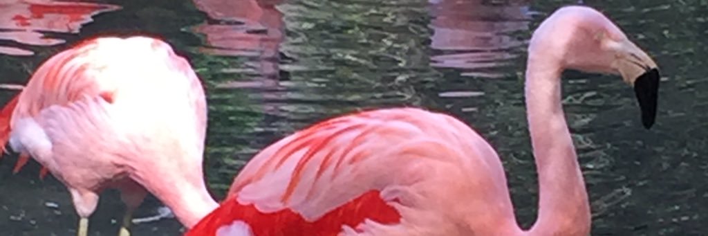 MikePop78's profile banner image