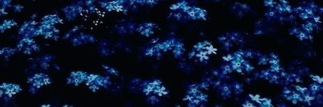 happierforrina's profile banner image