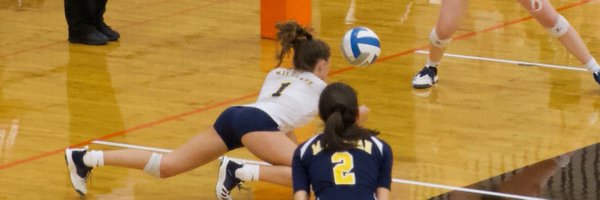 LivVpearce Profile Banner