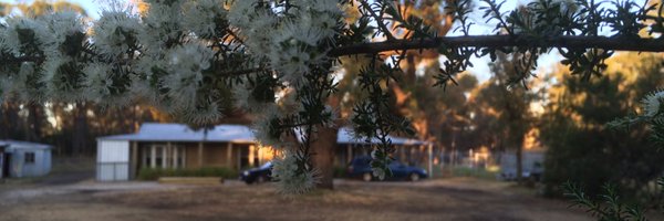 ezka29 Profile Banner