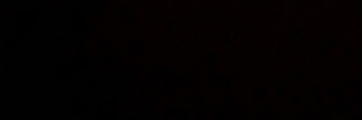 raghavchidella's profile banner image