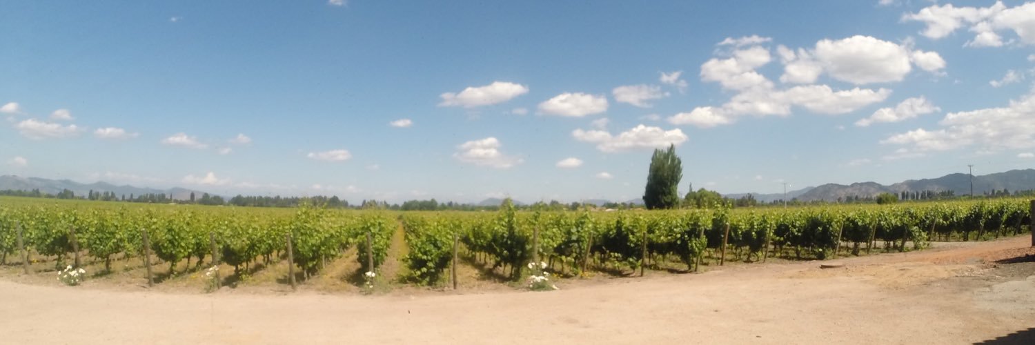 vinosfera's profile banner image
