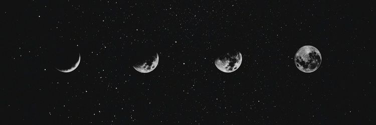 Sofia03__'s profile banner image