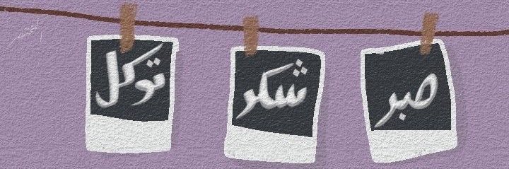 ;🦋 banner