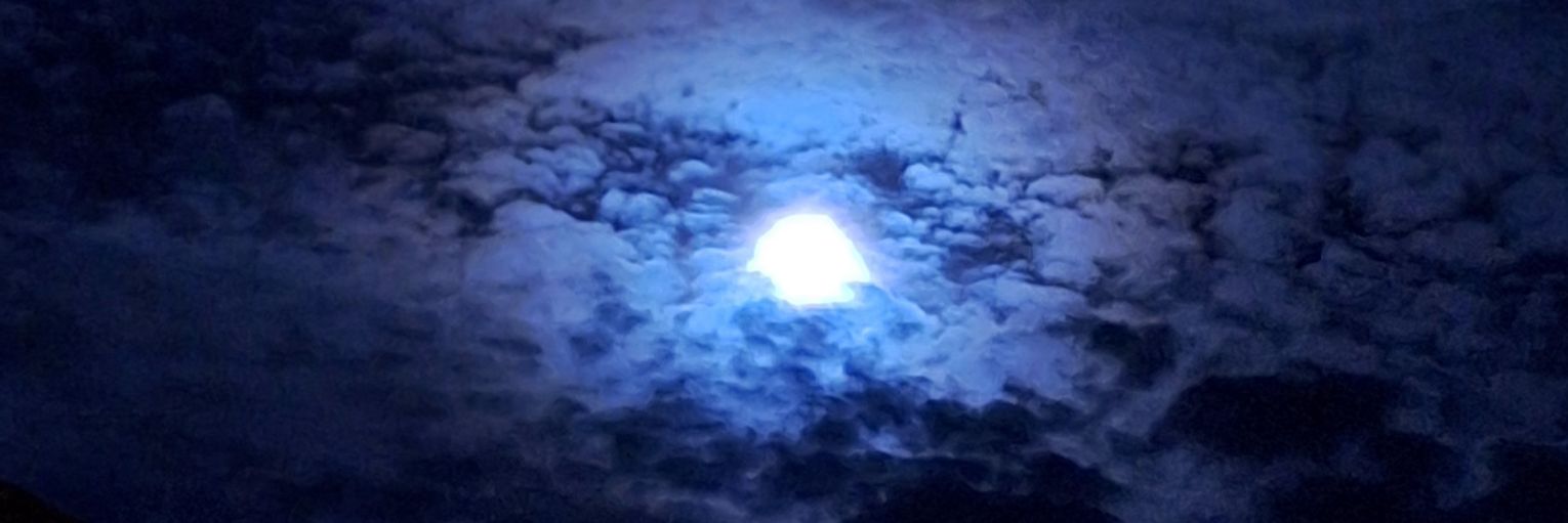 mechitashm's profile banner image