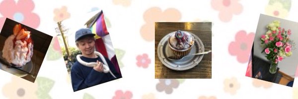 Hanahappy27 Profile Banner