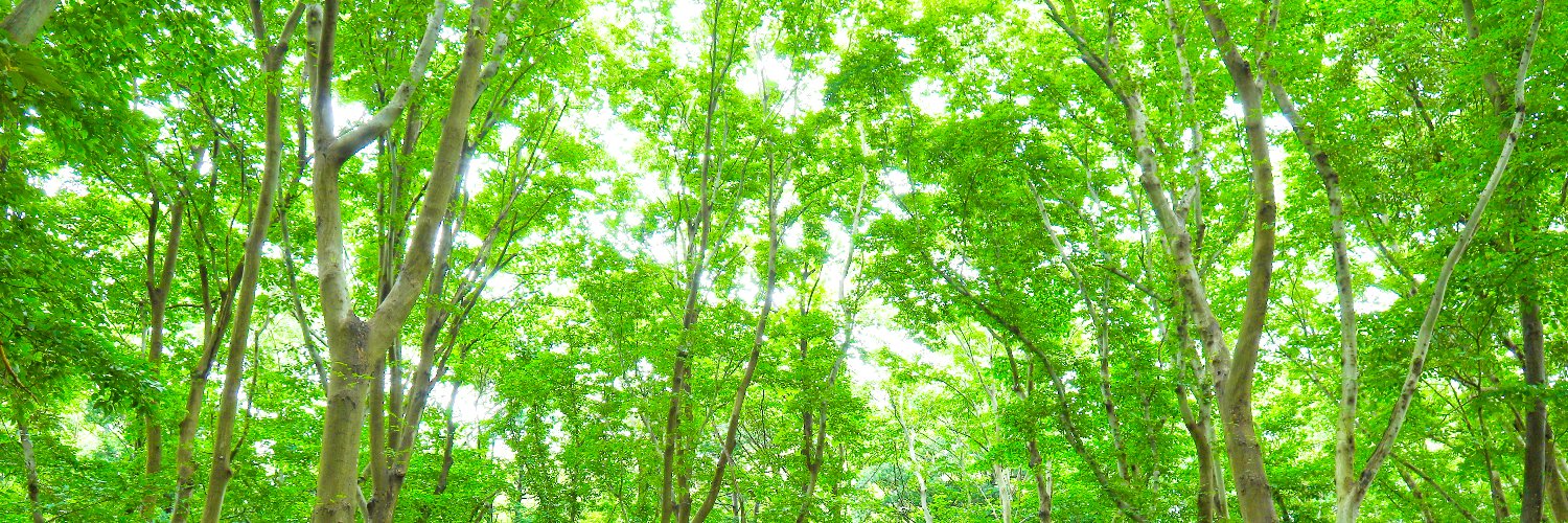 園田 隆克 banner