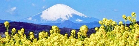 symphony333's profile banner image