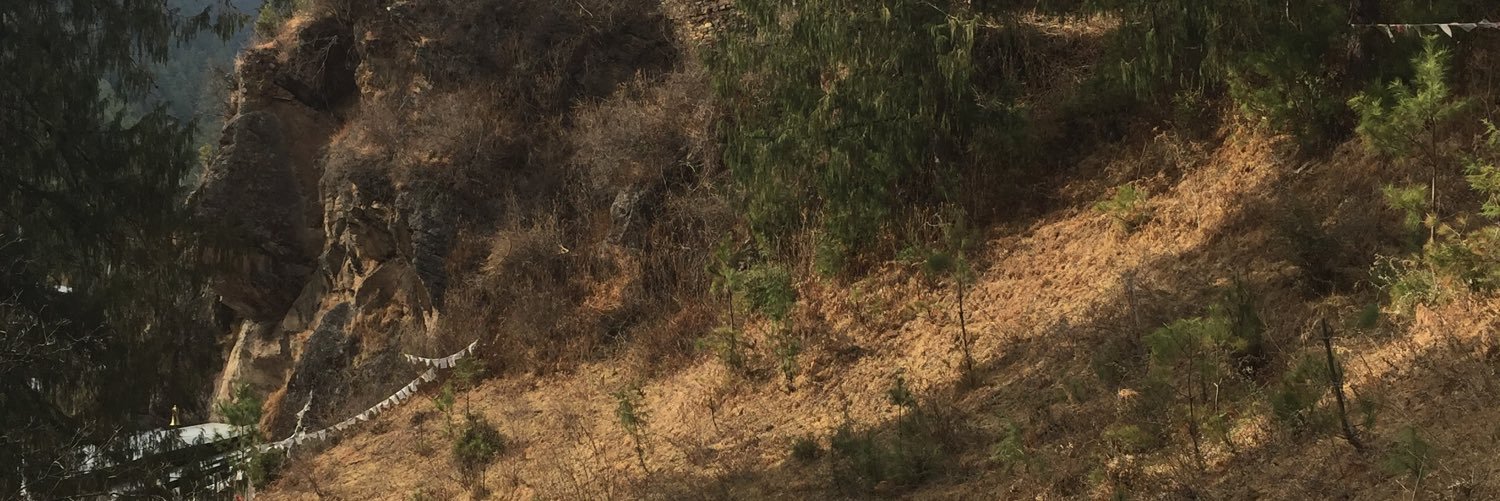 dpargaster's profile banner image