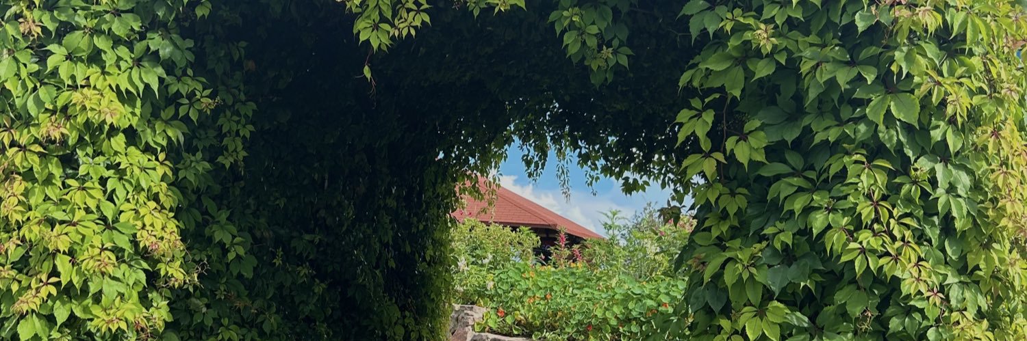 FerPayan4's profile banner image