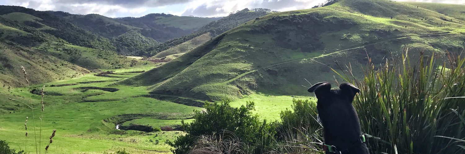 Dorian Grey(hound) banner