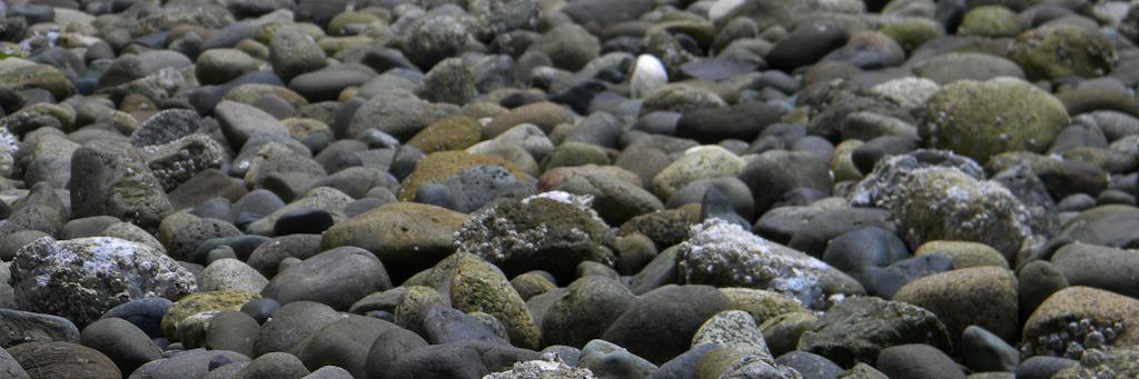 johnnystock's profile banner image