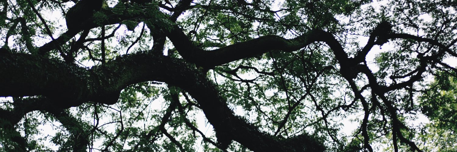 juniiar_k's profile banner image