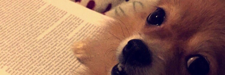 kabeel dosani banner