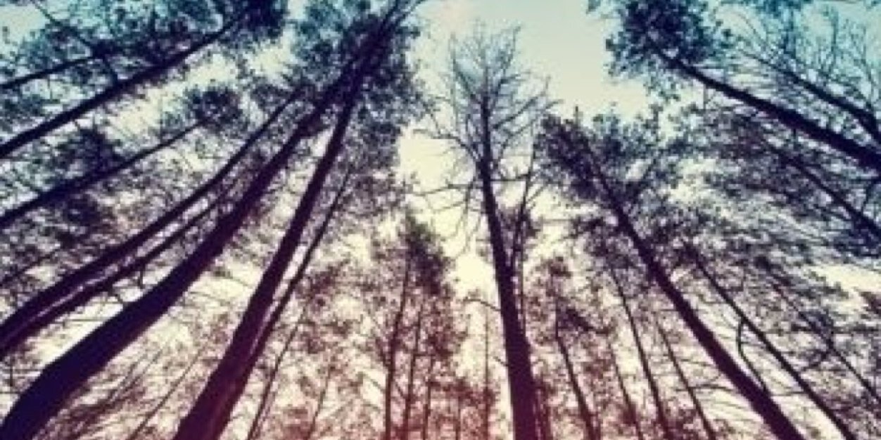 LoStew1121's profile banner image